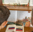 Наш триколор - Центральная библиотека