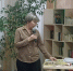 День краеведов - Центральная библиотека